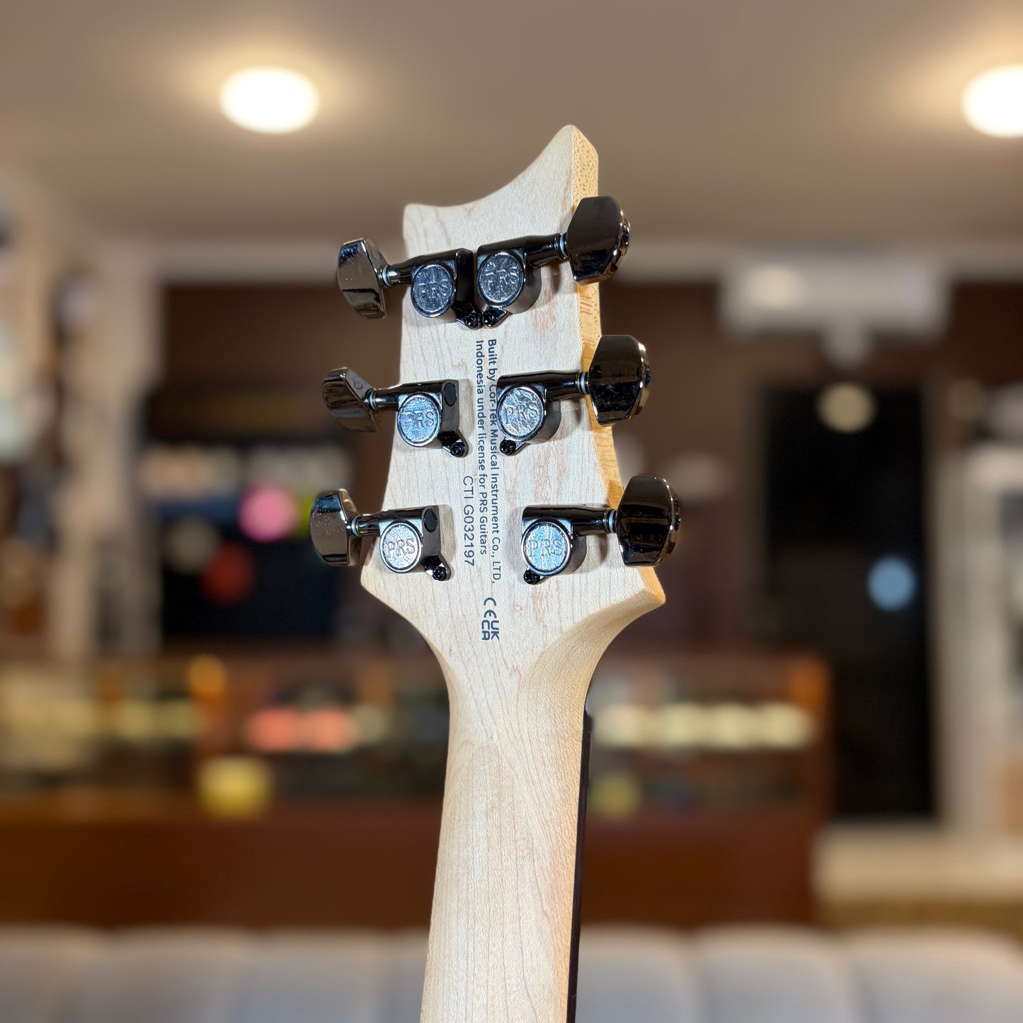 PRS SE SWAMP ASH CE 24 — "SANDBLASTED" LIMITED EDITION - BLUE