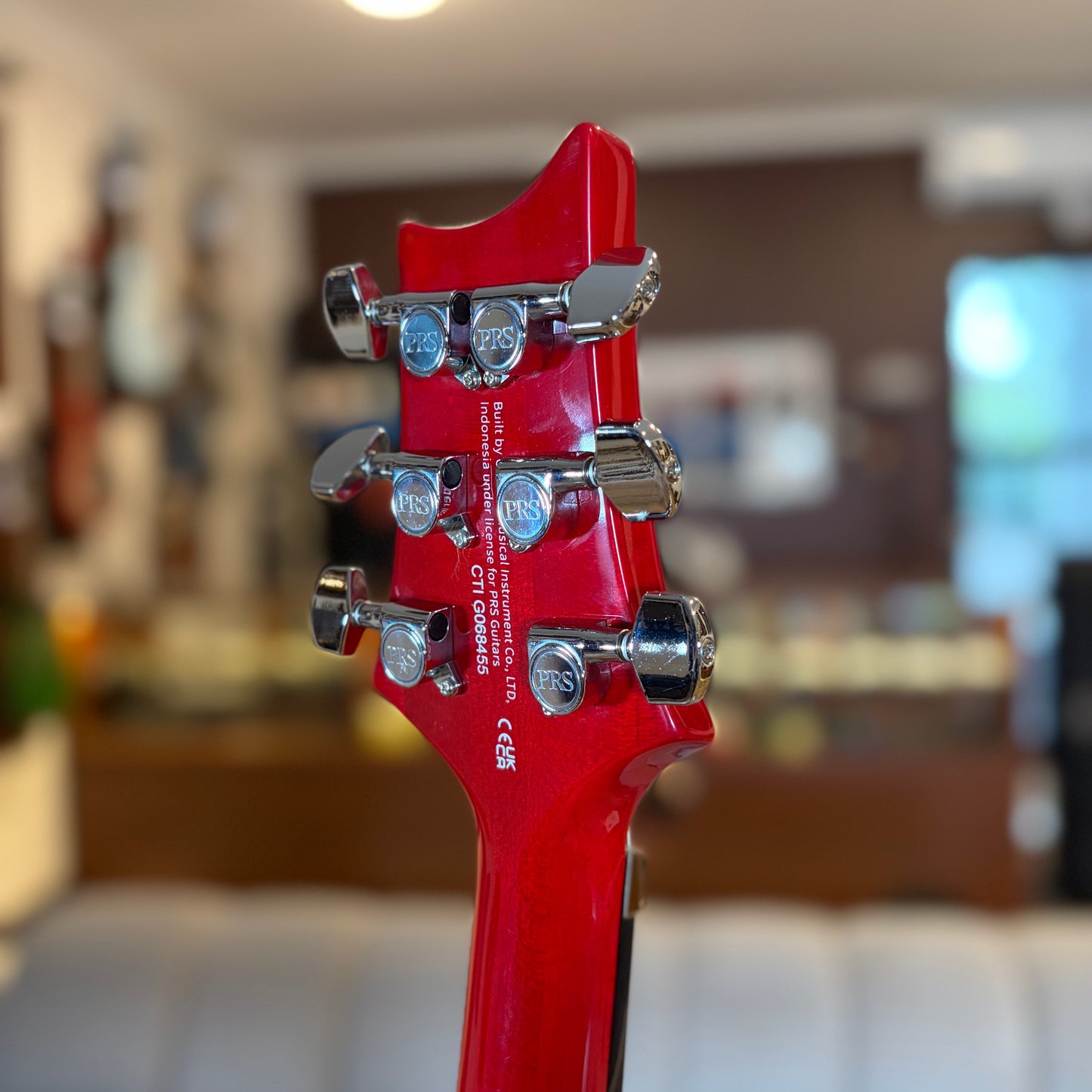 PRS SE CUSTOM 24 "FLOYD"