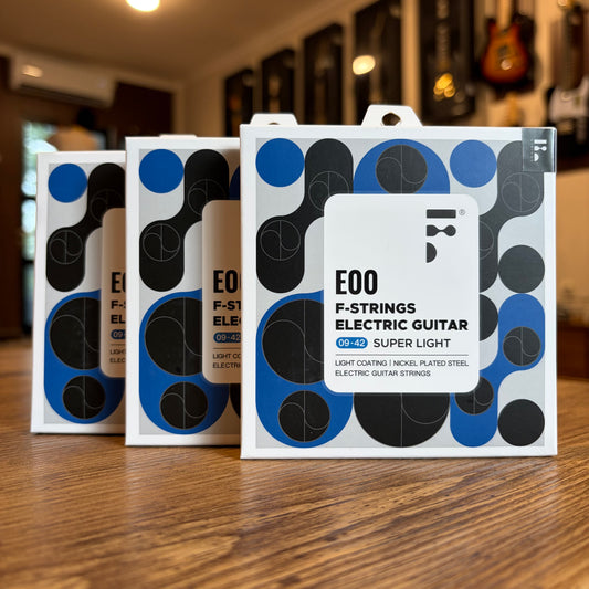 F-E00 - ELECTRIC GUITAR STRING 09-42