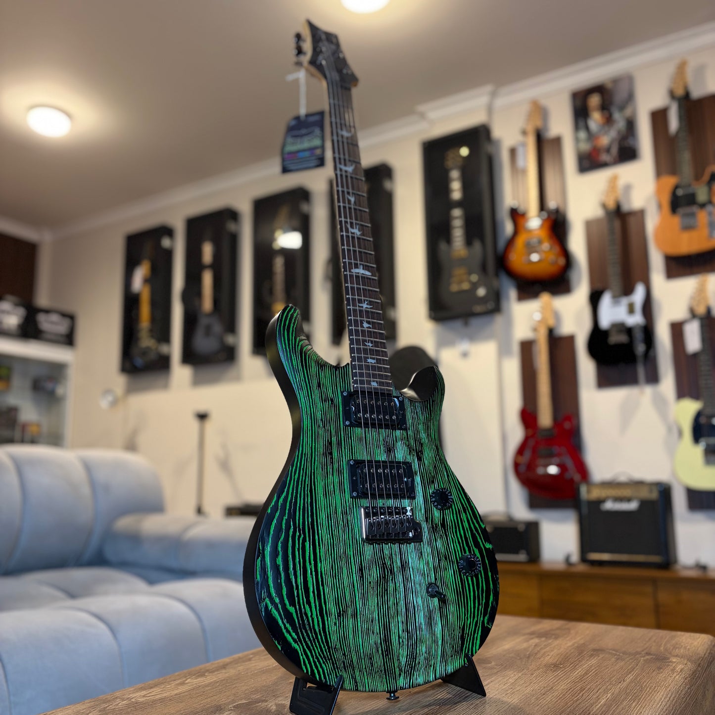 PRS SE SWAMP ASH CE 24 — "SANDBLASTED" LIMITED EDITION - GREEN