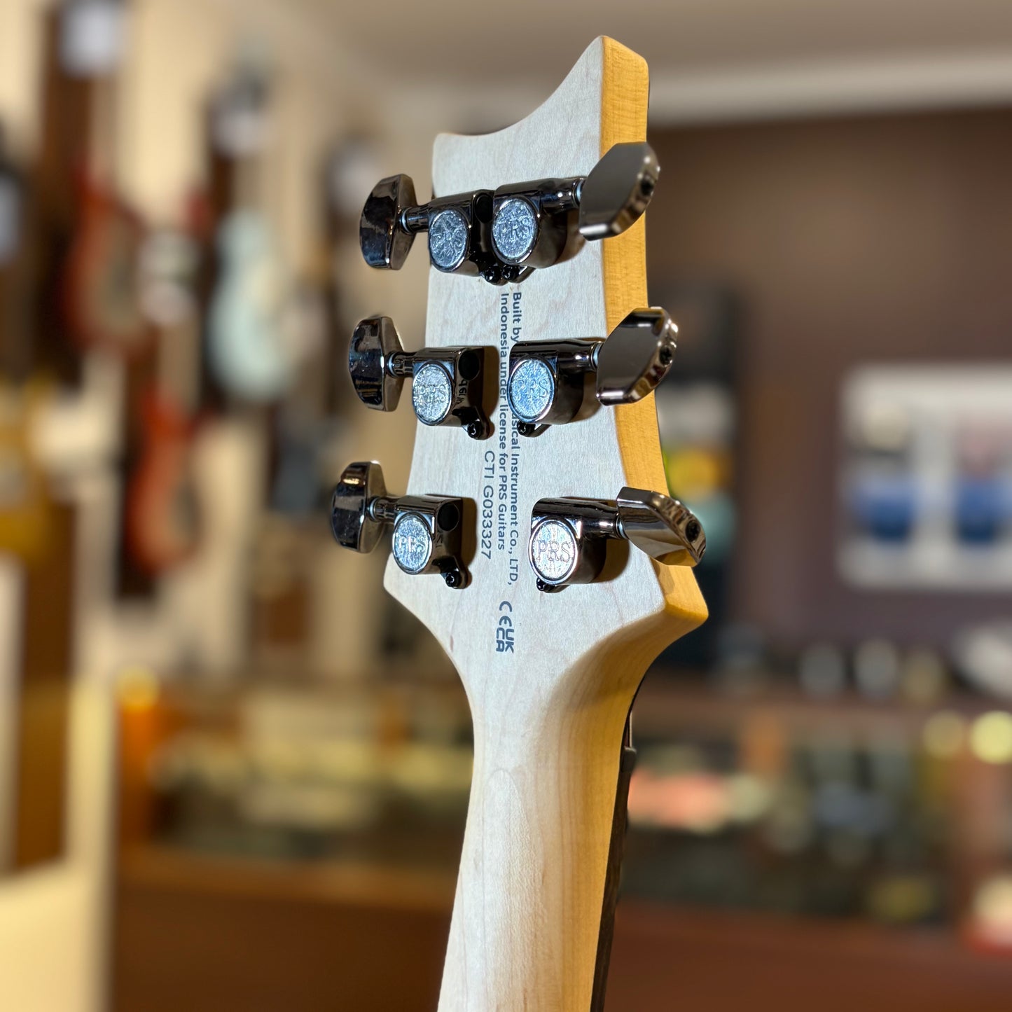 PRS SE SWAMP ASH CE 24 — "SANDBLASTED" LIMITED EDITION - GREEN