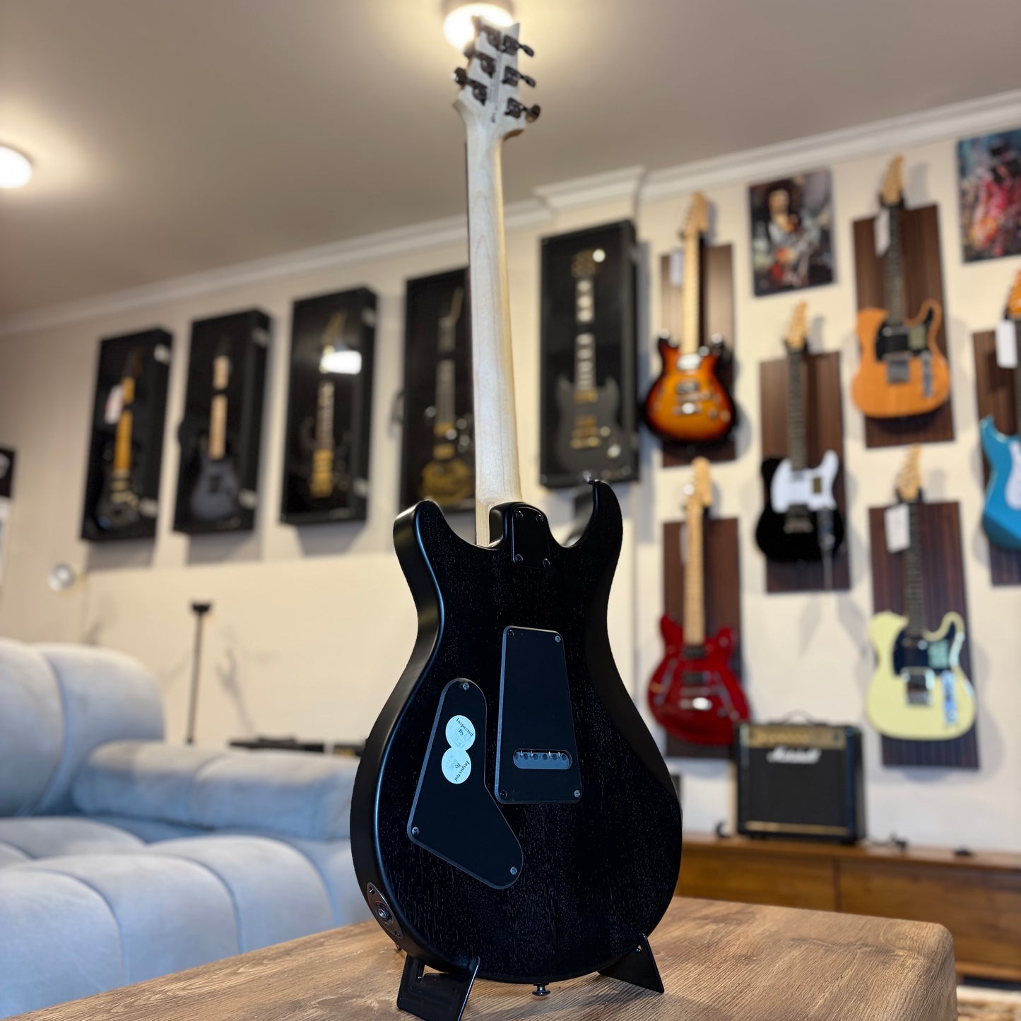 PRS SE SWAMP ASH CE 24 — "SANDBLASTED" LIMITED EDITION - GREEN