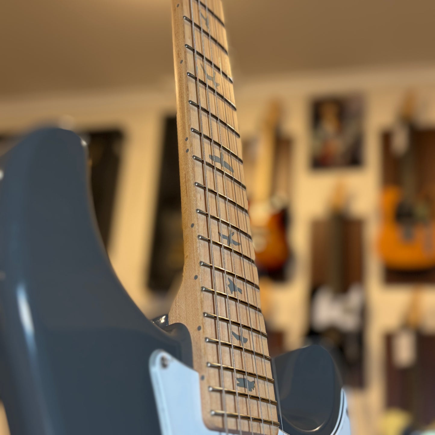 PRS SE SILVER SKY - JOHN MAYER - GRAY