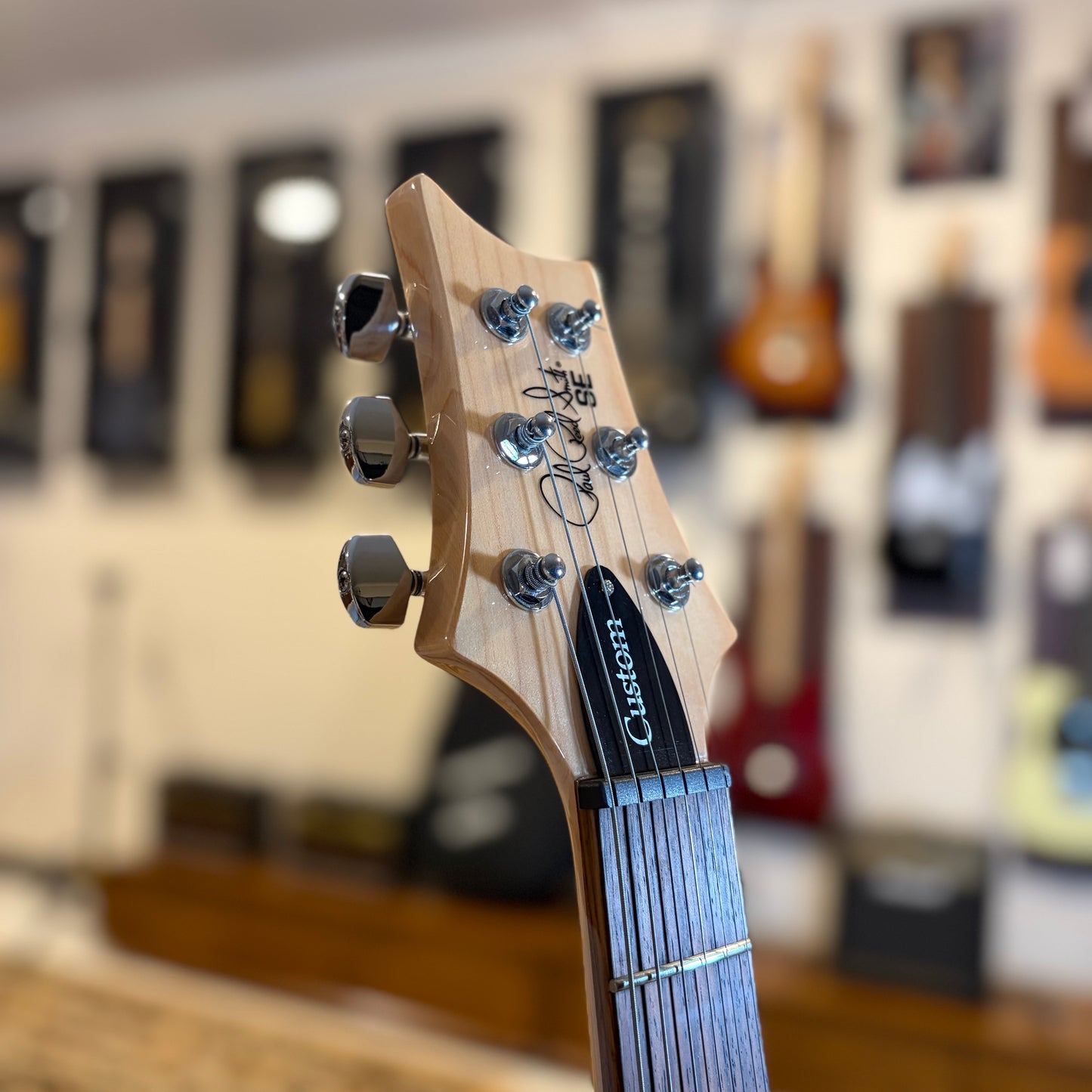 PRS SE 24 CUSTOM - LIMITED EDITION - BLUE FADE