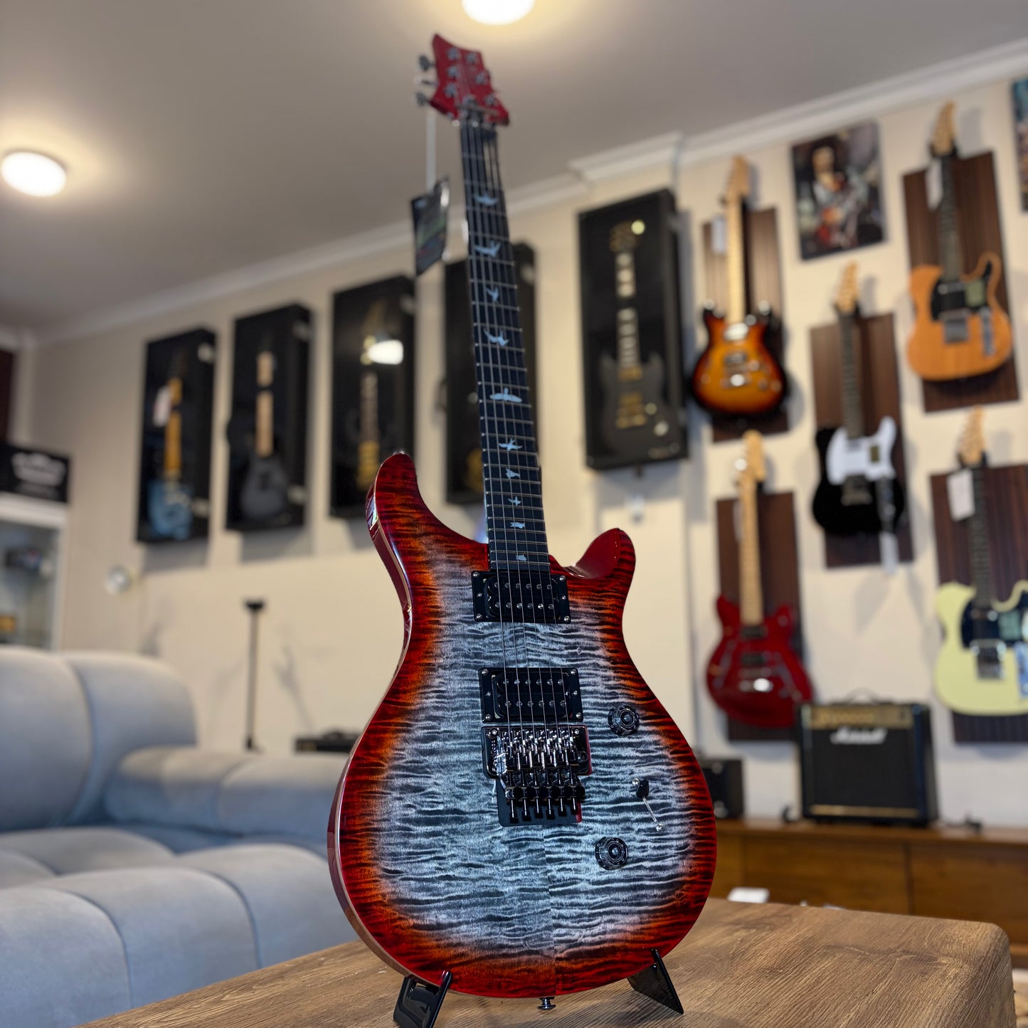 PRS SE CUSTOM 24 "FLOYD"