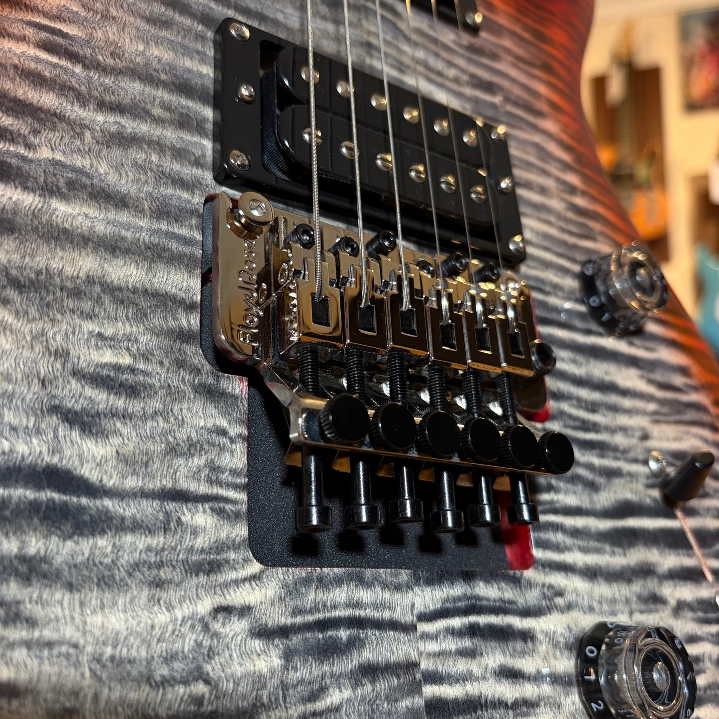 PRS SE CUSTOM 24 "FLOYD"