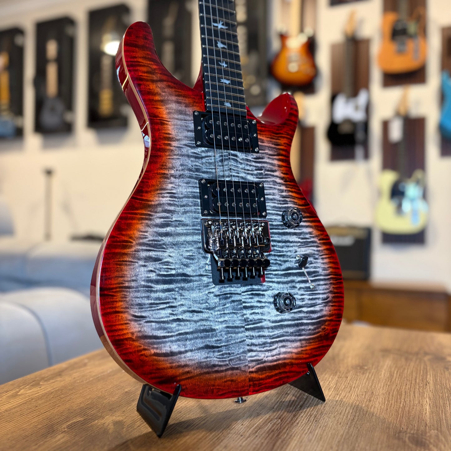 PRS SE CUSTOM 24 "FLOYD"