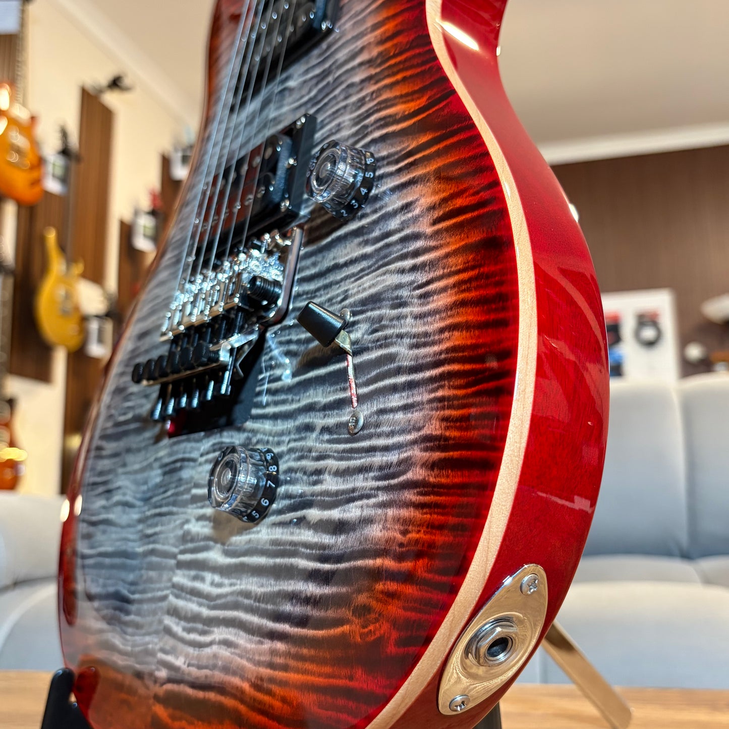 PRS SE CUSTOM 24 "FLOYD"