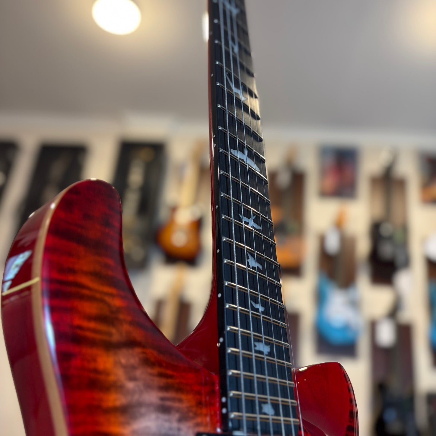 PRS SE CUSTOM 24 "FLOYD"