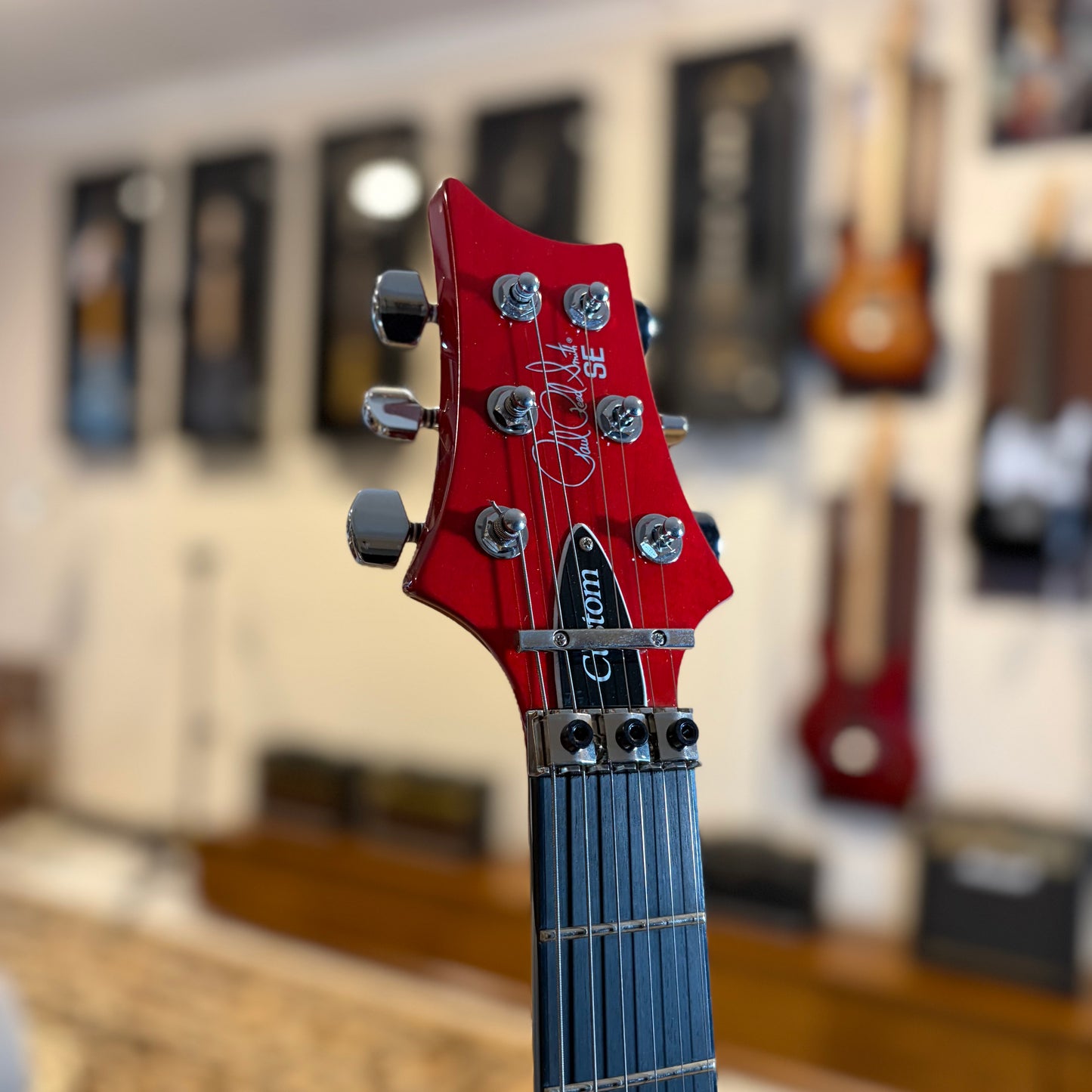 PRS SE CUSTOM 24 "FLOYD"