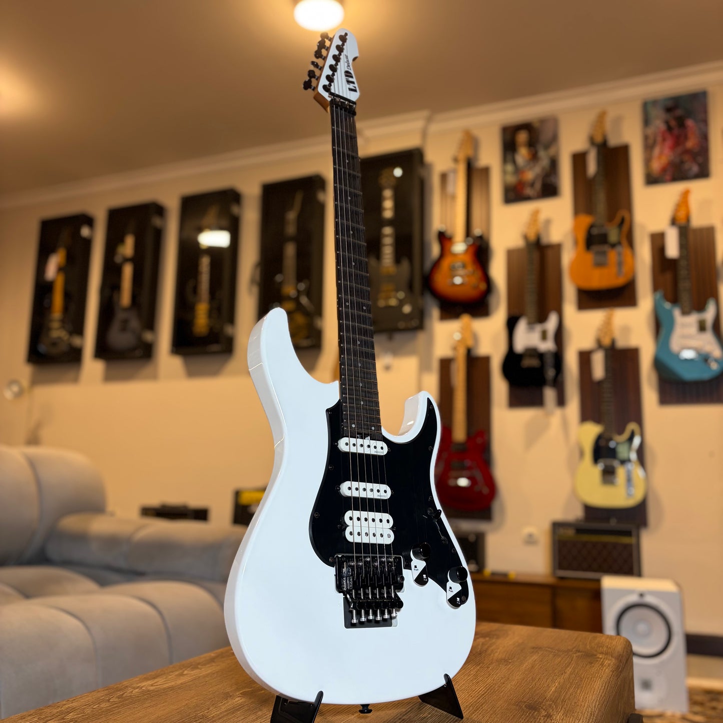 ESP LTD SN-1000 FR - SNOW WHITE