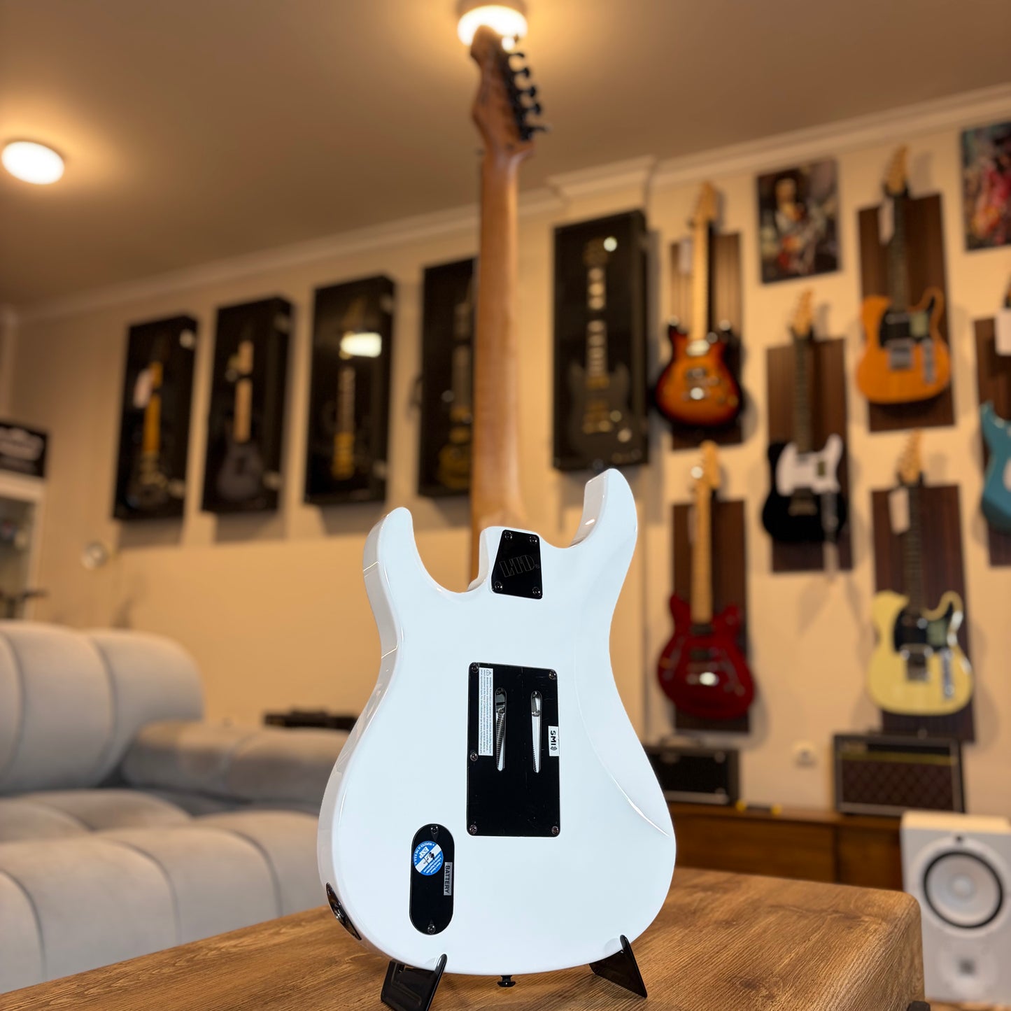 ESP LTD SN-1000 FR - SNOW WHITE