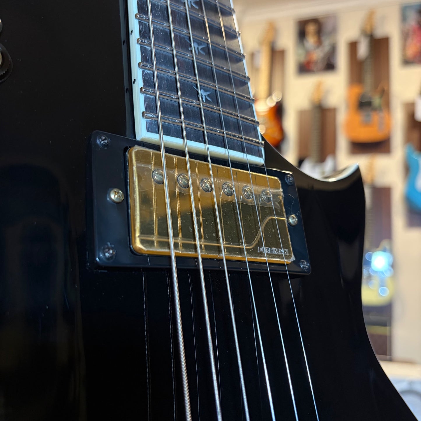 ESP LTD WA-WARBIRD - BLACK W/GRAPHIC