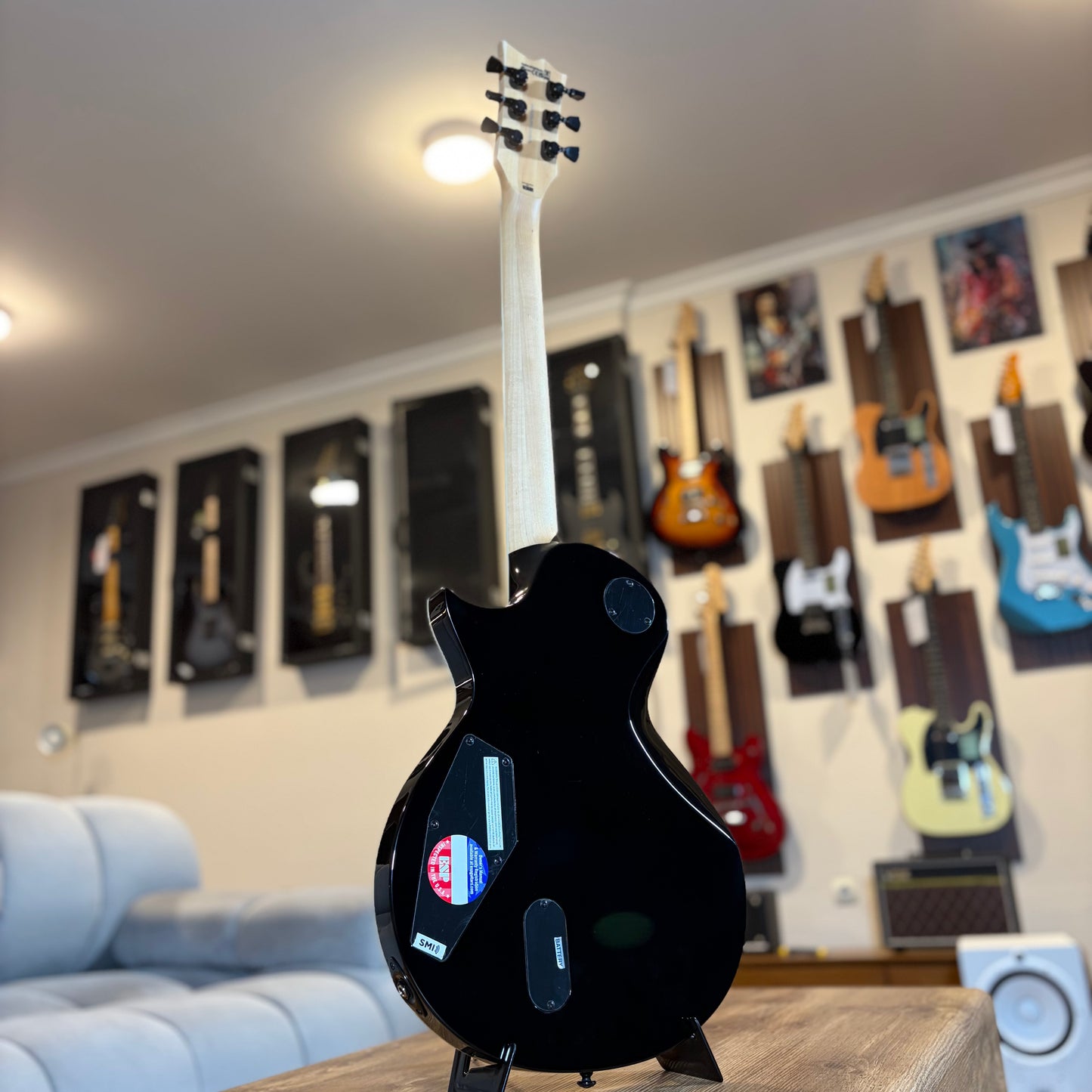 ESP LTD WA-WARBIRD - BLACK W/GRAPHIC