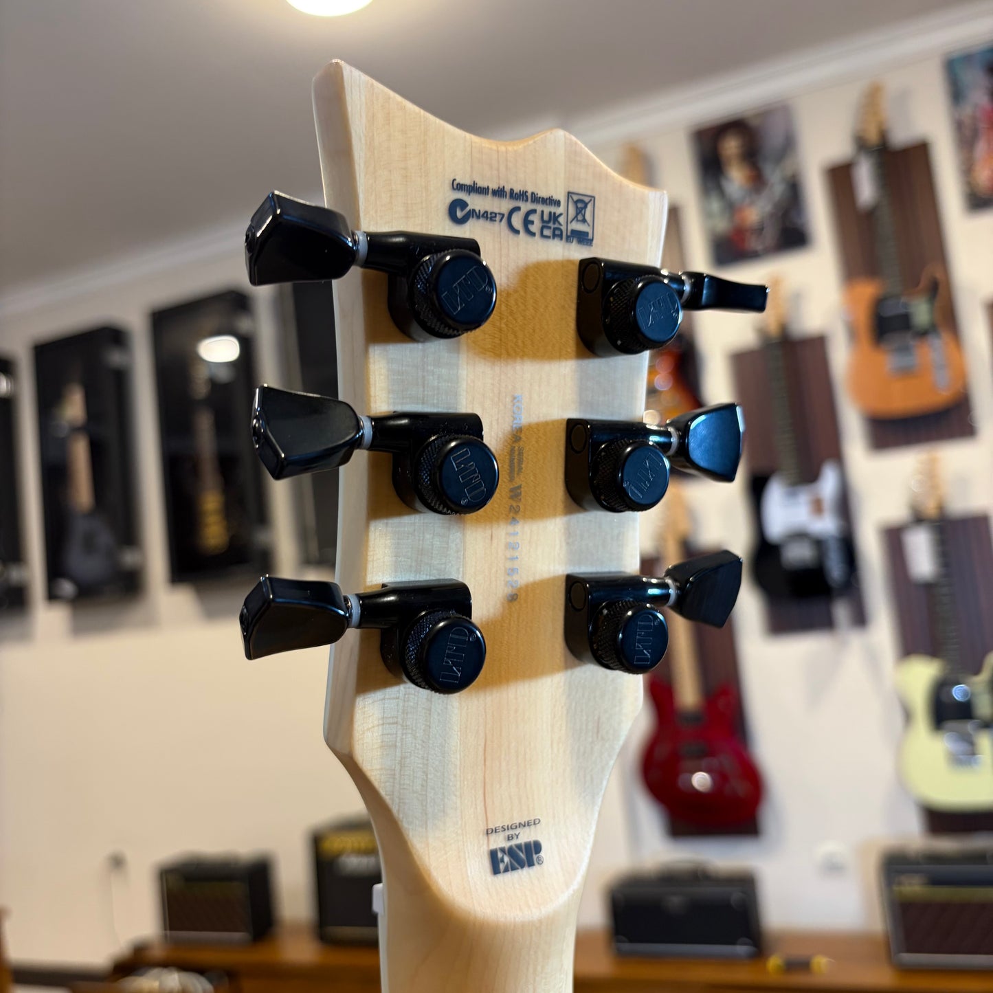 ESP LTD WA-WARBIRD - BLACK W/GRAPHIC