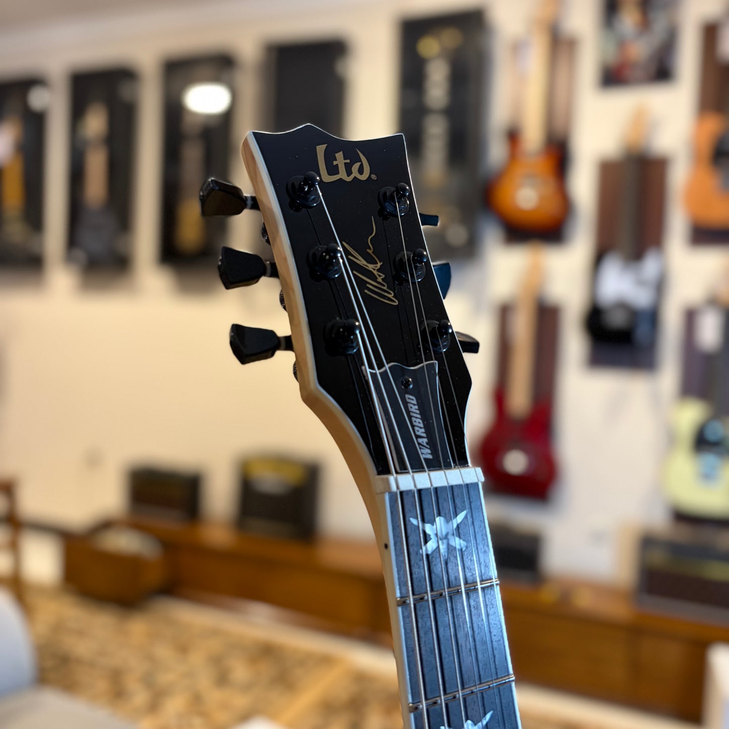 ESP LTD WA-WARBIRD - BLACK W/GRAPHIC