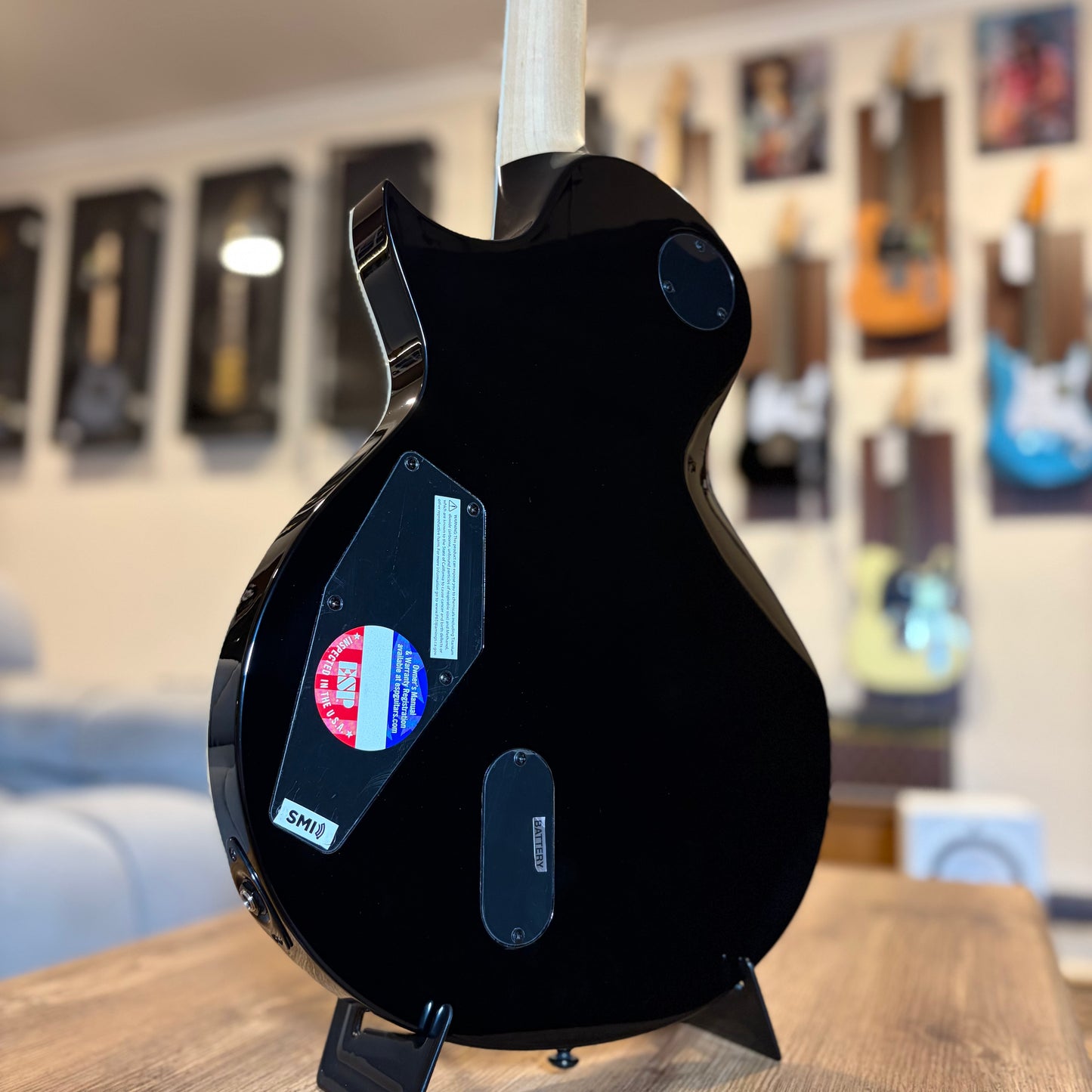 ESP LTD WA-WARBIRD - BLACK W/GRAPHIC